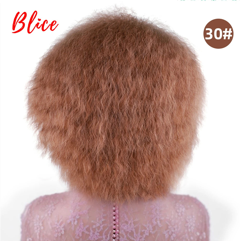 Blice 6Inch Short Synthetic Wigs Kinky Straight Kanekalon Heat Resistant Natural Black Women African American Afro Full Wig